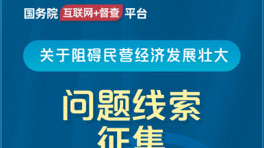 忘忧草一区一区三区四区国务院“互联网+督查”平台公开征集阻碍民营经济发展壮大问题线索